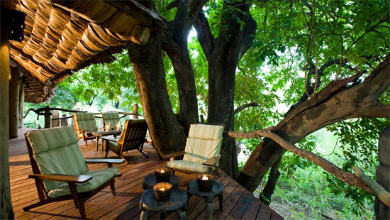 lake-manyara-tree-lodge-4.jpg