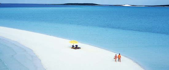 musha_cay.jpg