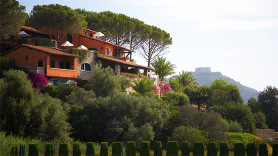 pellicano-1.jpg