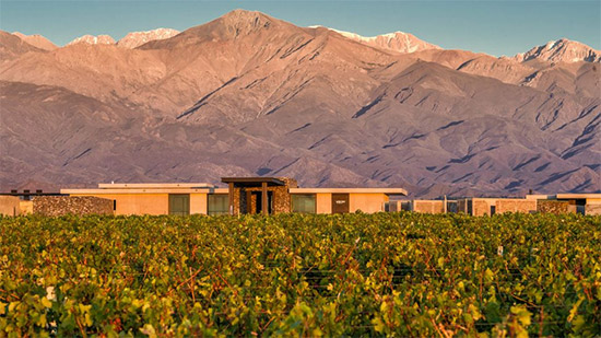 the-vines-mendoza-4.jpg