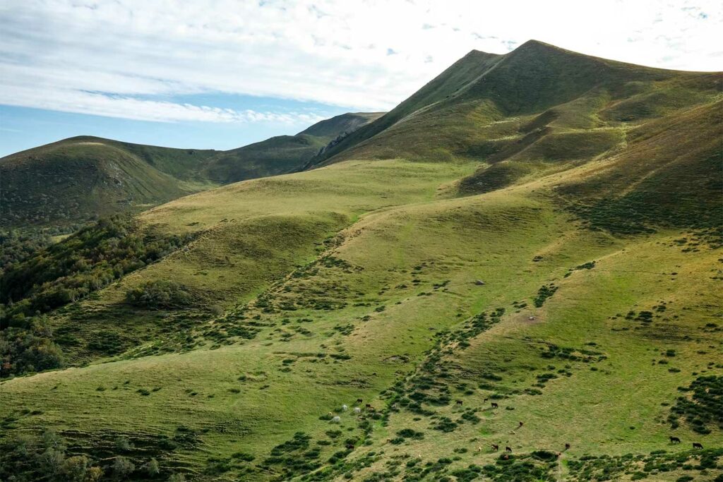 Se reconnecter à la nature en Auvergne