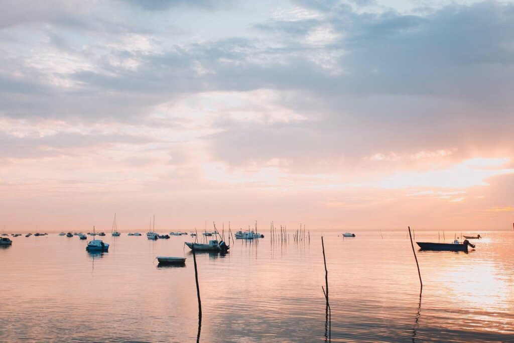 Cap Ferret