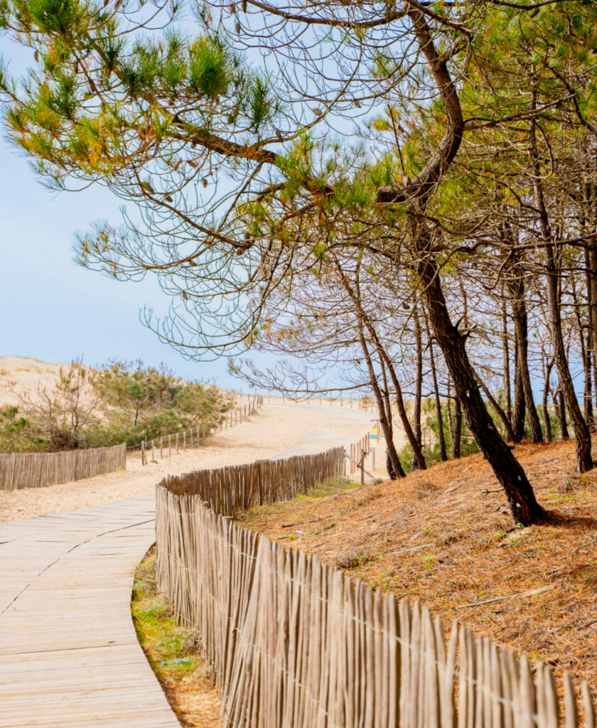 Cap Ferret