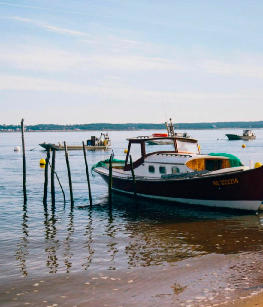 Cap Ferret