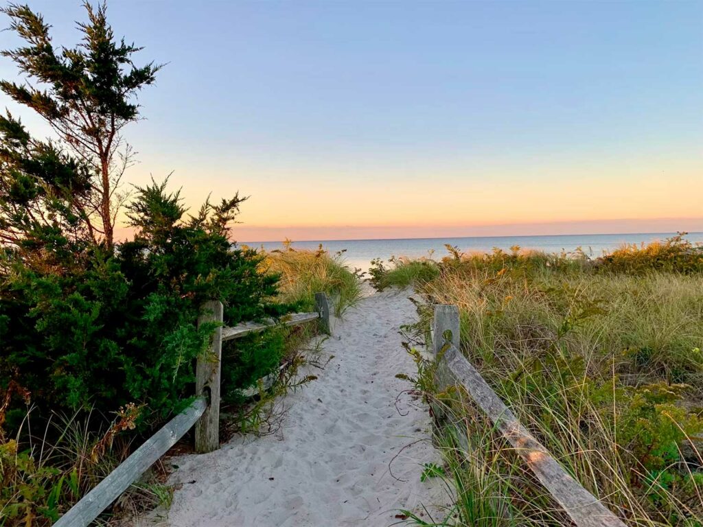 Cape Cod dans les livres