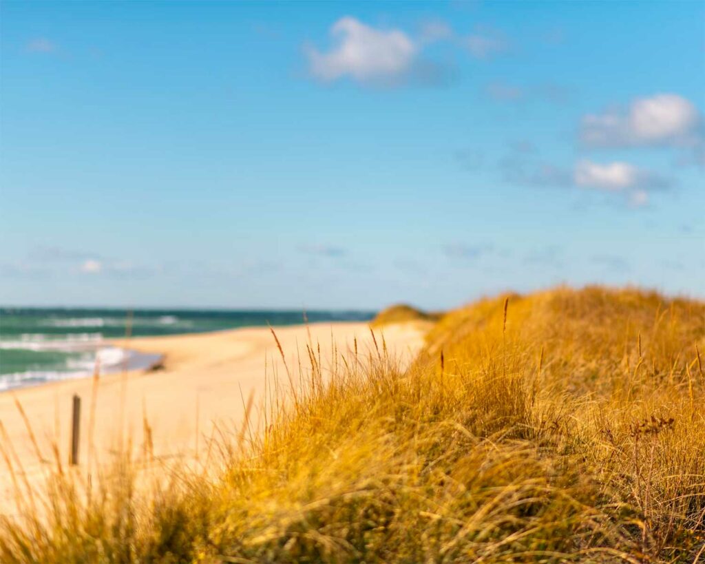 Cape Cod dans les livres