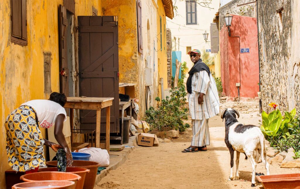 Dakar dans les livres