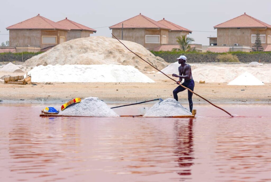 Dakar dans les livres