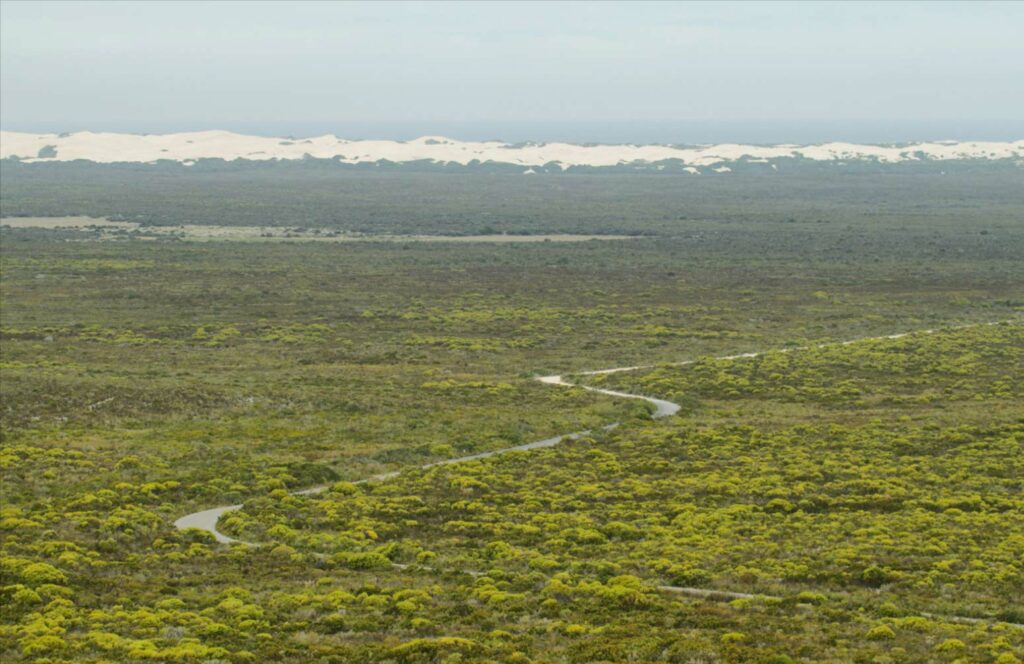 De Hoop Nature Reserve