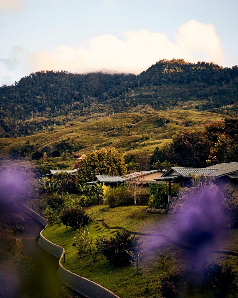 Estée Lauder mise sur la longévité avec un institut au Costa Rica
