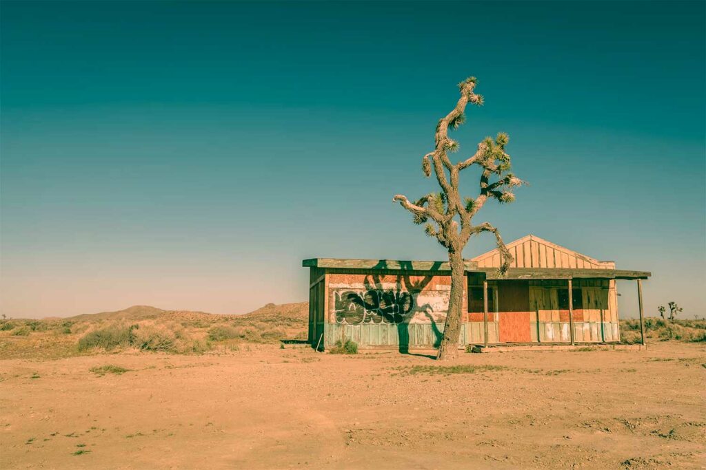 Explorer le désert de Mojave en toute sécurité