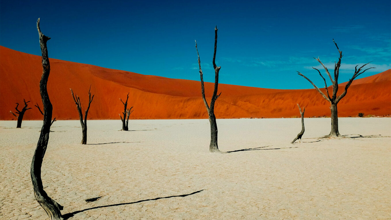 Découvrez le Parc National Namib-Naukluft