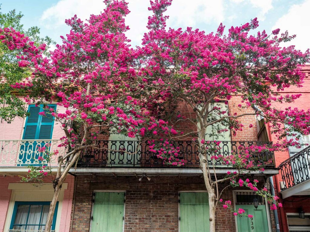 New Orleans