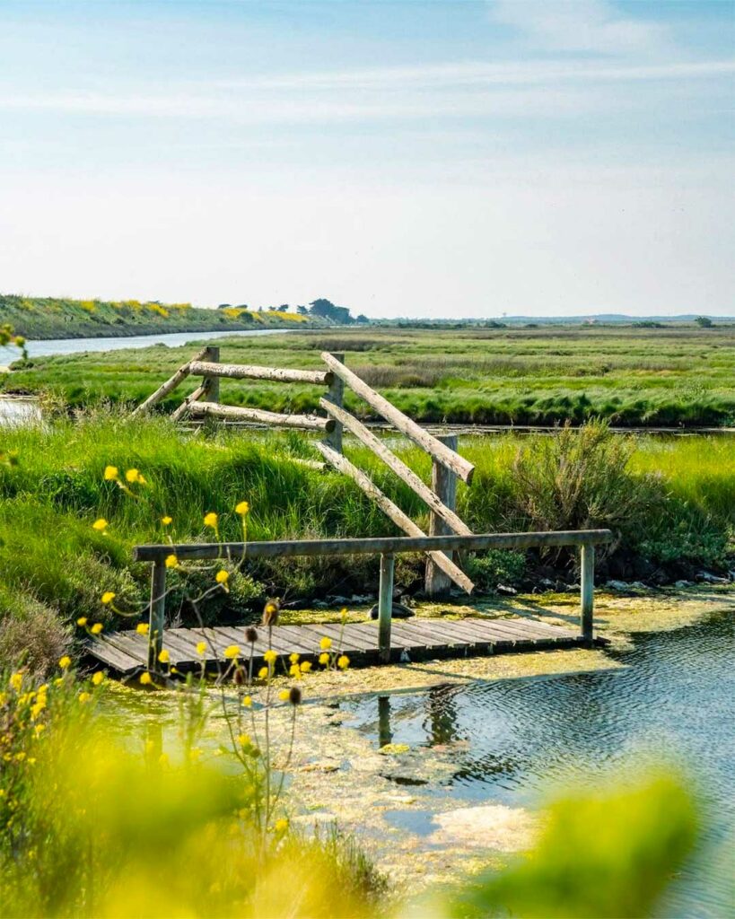 Noirmoutier 