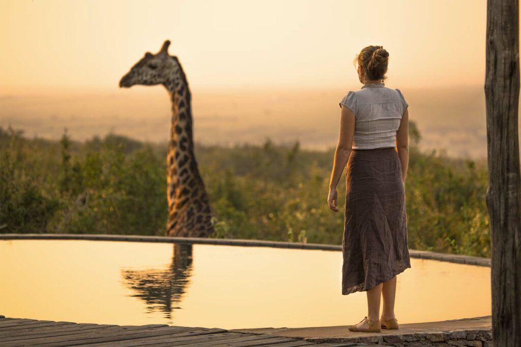 Safari famille