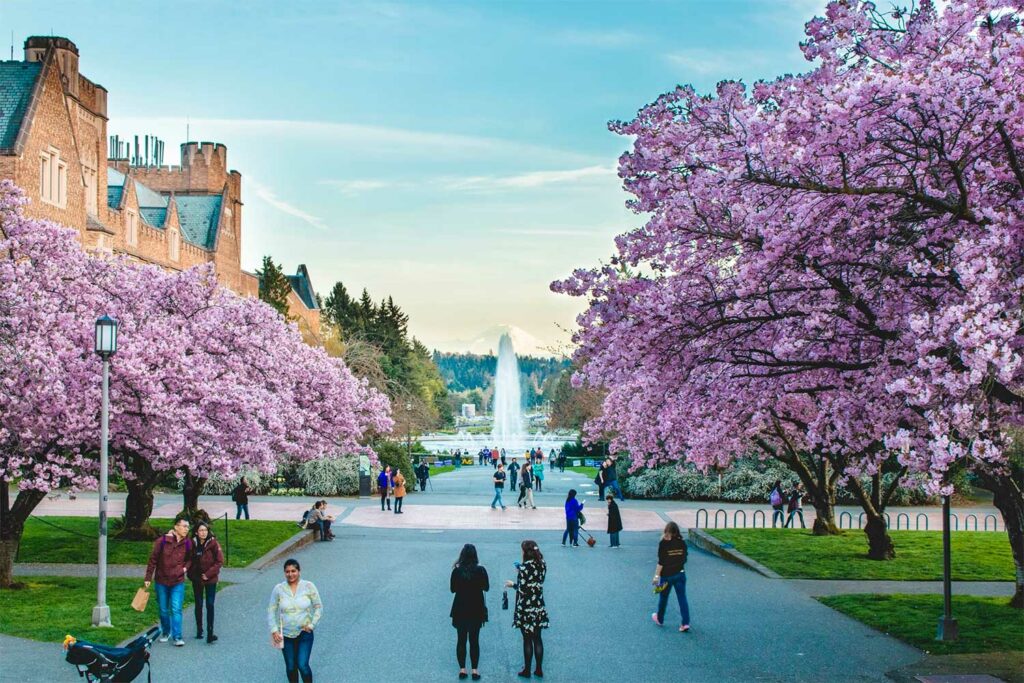 Seattle - notre guide pratique de voyage