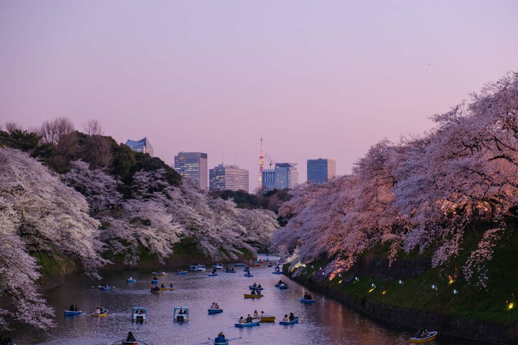 Tokyo dans les livres