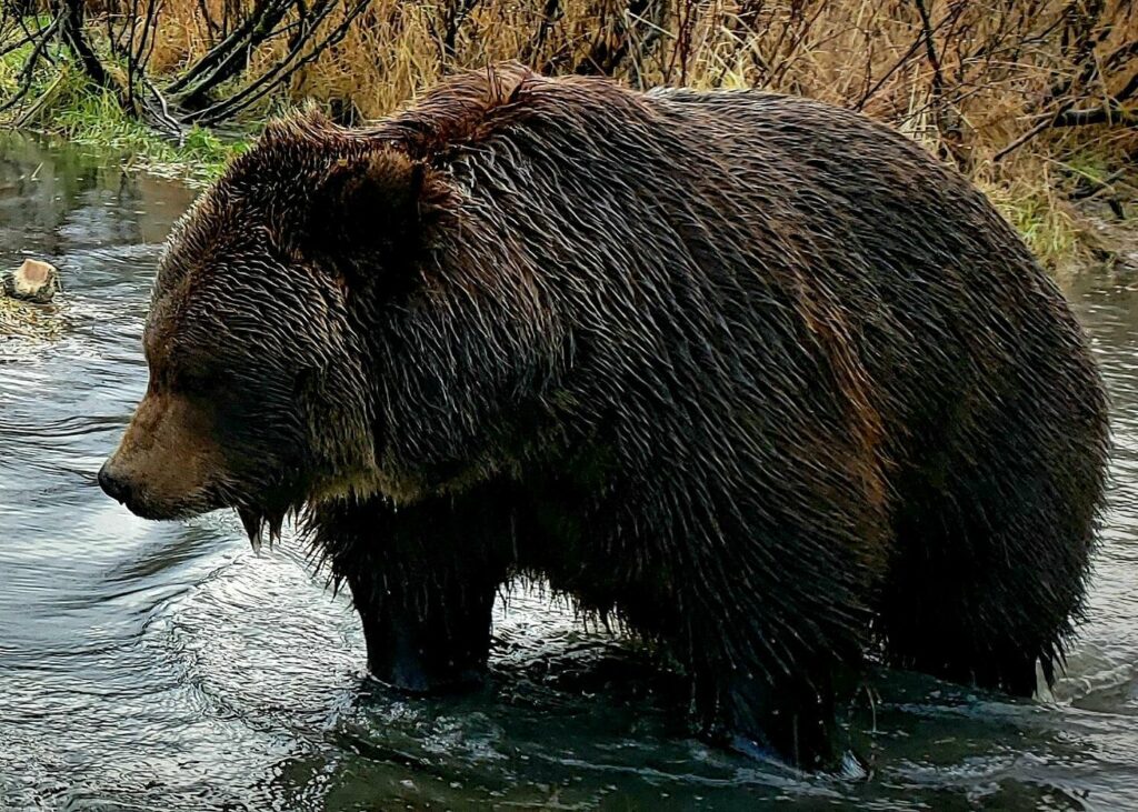 Anchorage - notre guide pratique de voyage