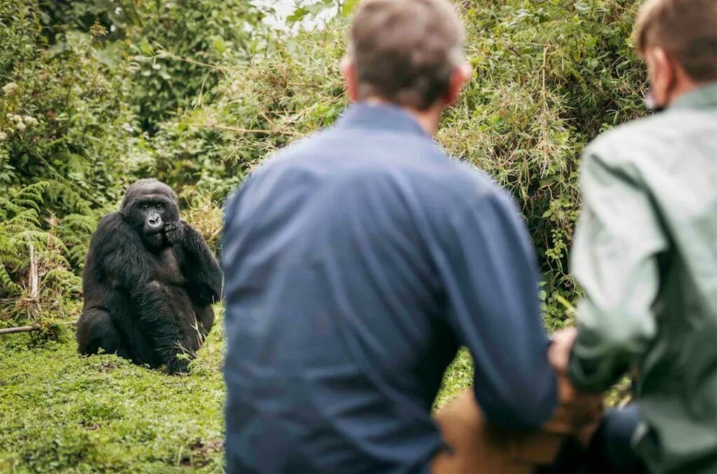 Bisate Lodge by Wilderness Safaris, Rwanda