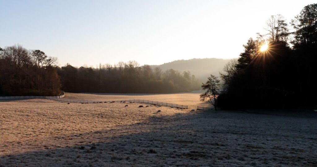 Blackberry Farm