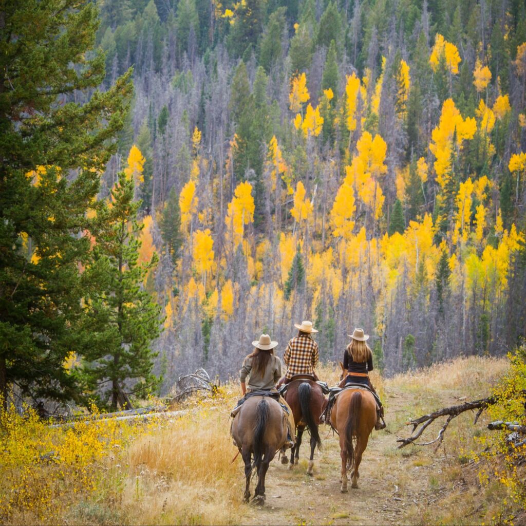 C Lazy U Ranch - Granby, Colorado :