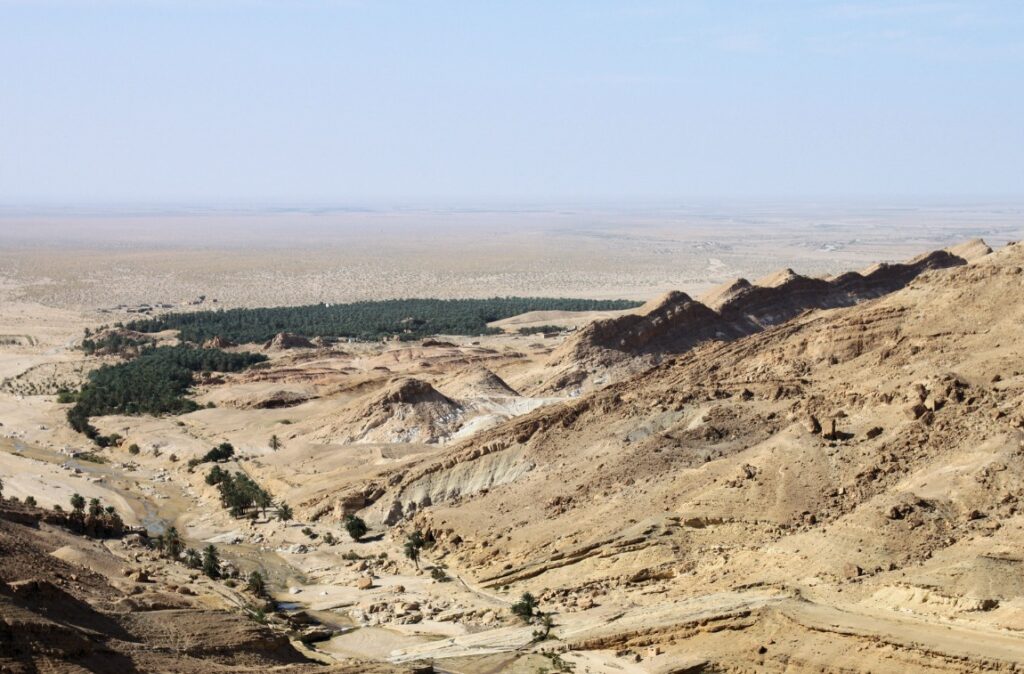 oasis de Chebika