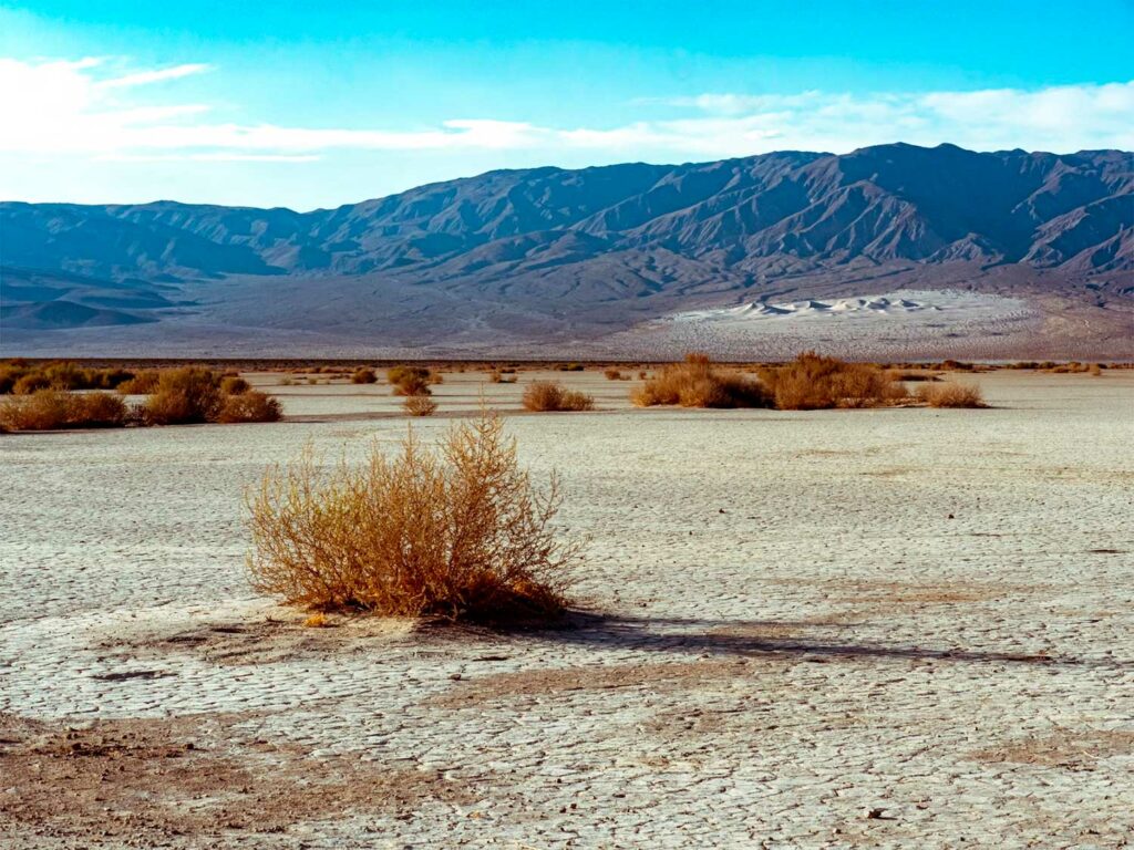 Découvrir Death Valley National Park