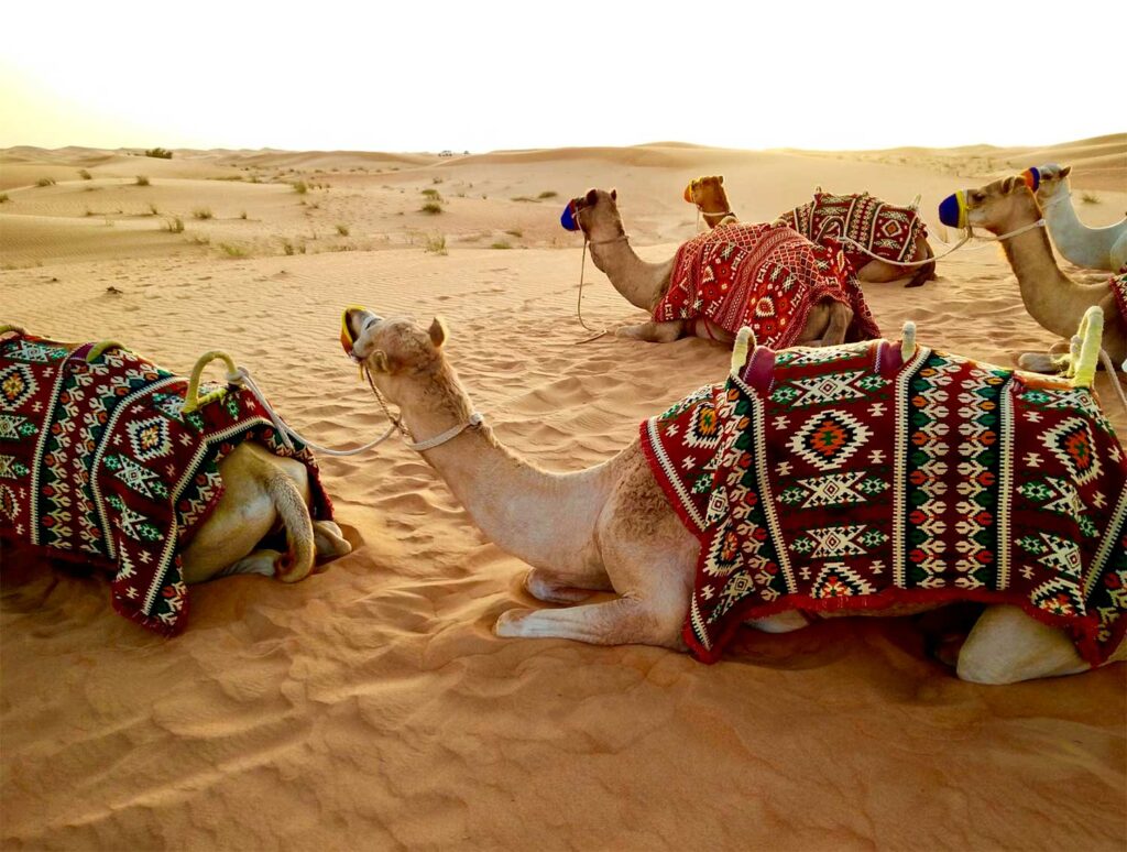 10 conseils essentiels avant de partir à Dubaï : préparez, économisez, profitez