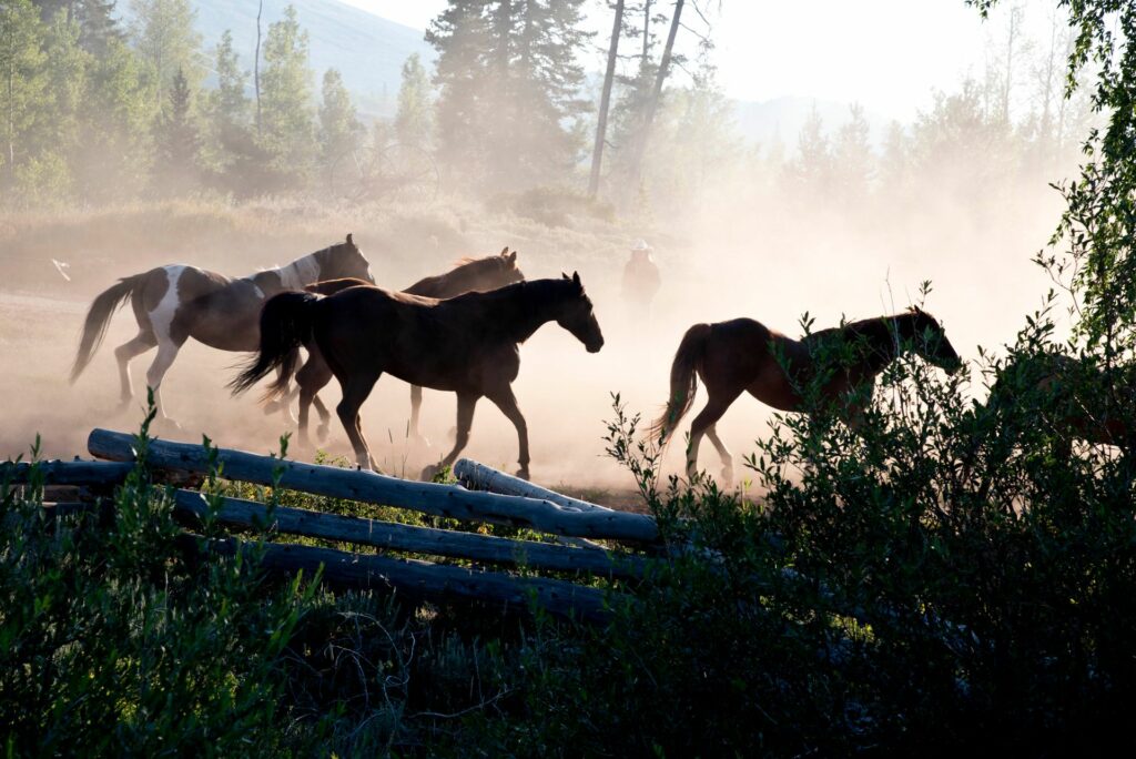 dude ranch vacances au ranch