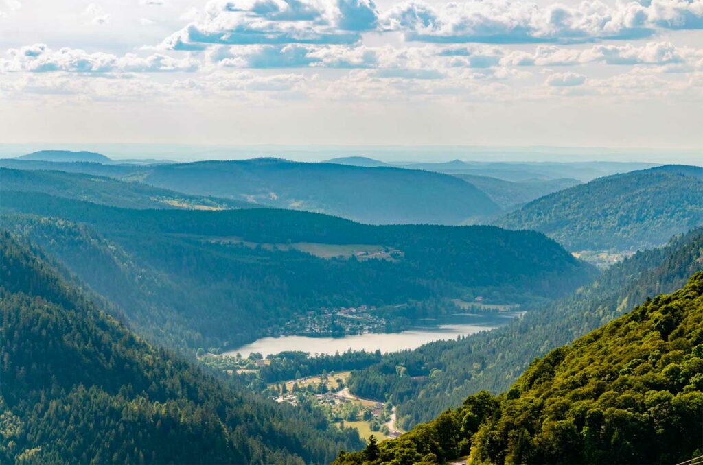 Vosges