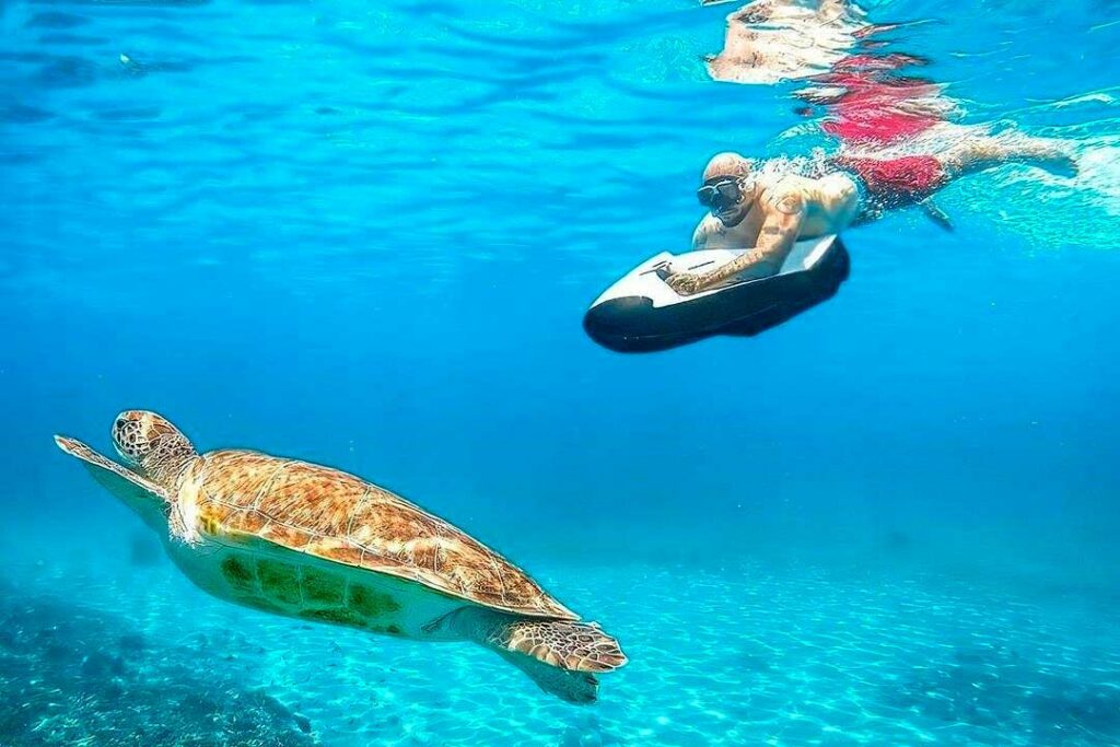 Guadeloupe ou Martinique : laquelle choisir