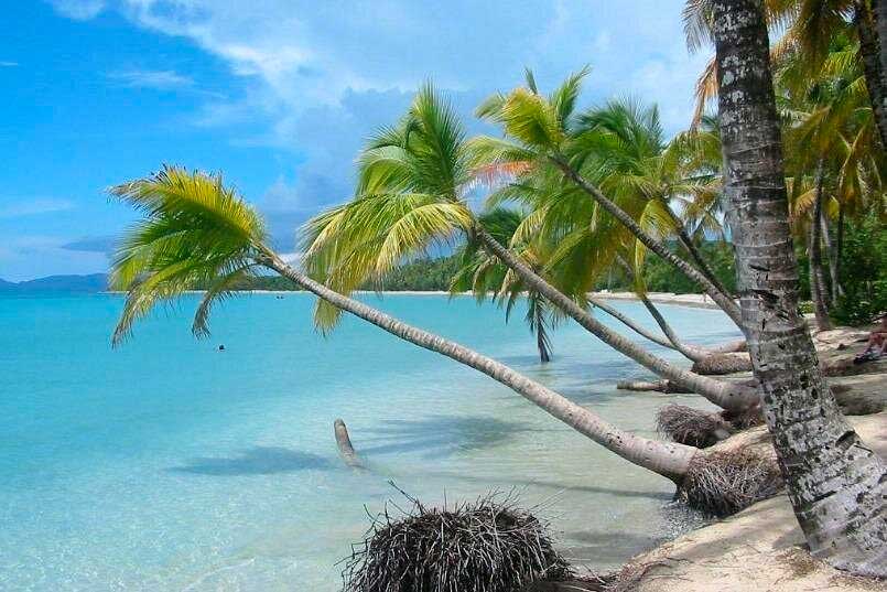 Guadeloupe ou Martinique : laquelle choisir