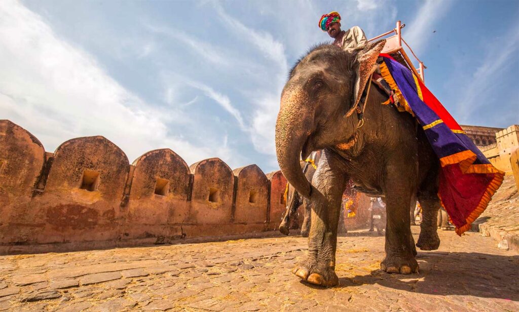 Voyager à Jaipur avec ses enfants
