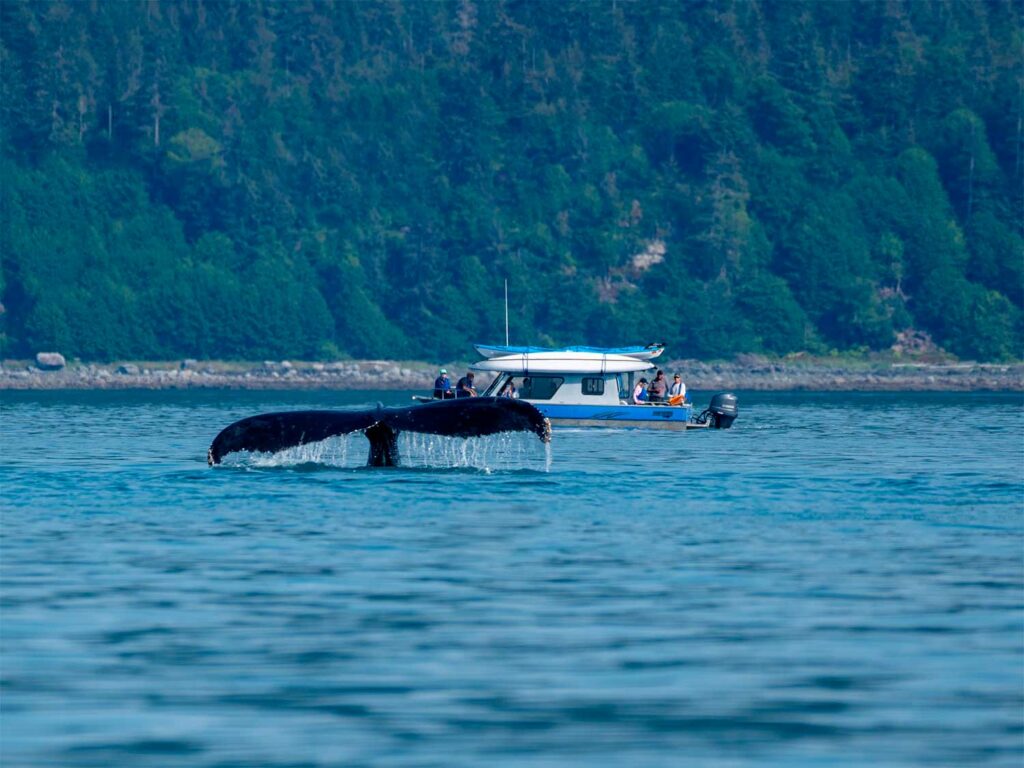 Juneau - Notre guide pratique de voyage