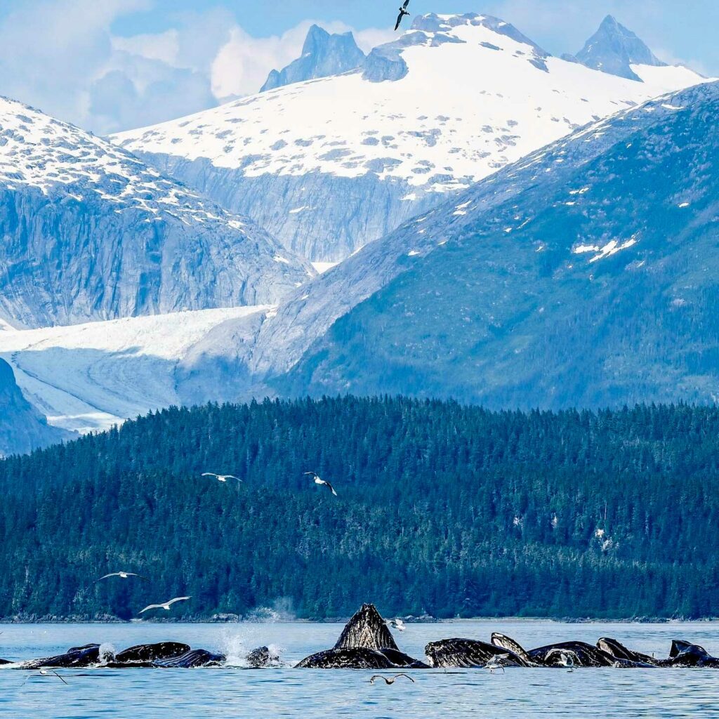 Juneau - Notre guide pratique de voyage