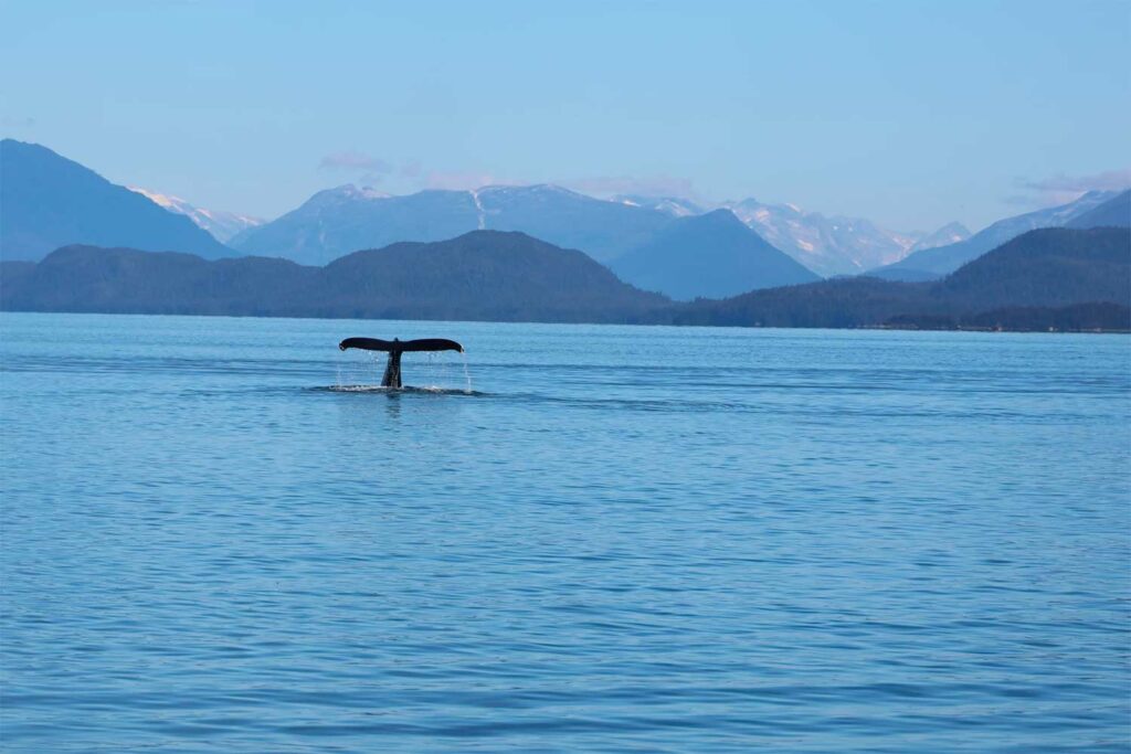 Juneau - Notre guide pratique de voyage