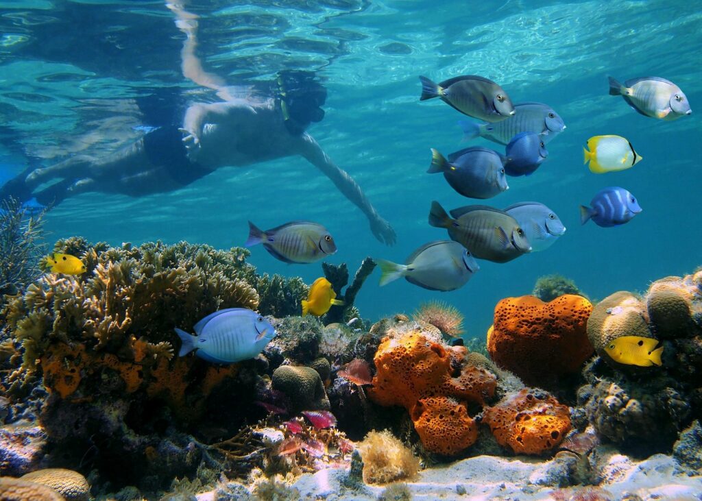 Key West - notre guide pratique de voyage