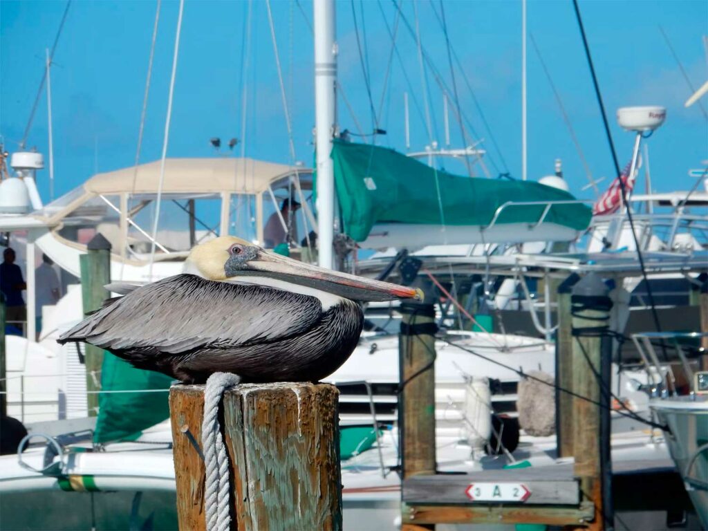 Key West - notre guide pratique de voyage