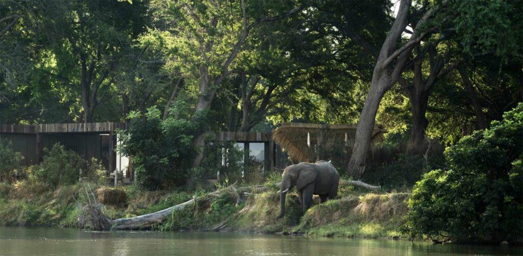 Lolebezi Safari Lodge, Zambie