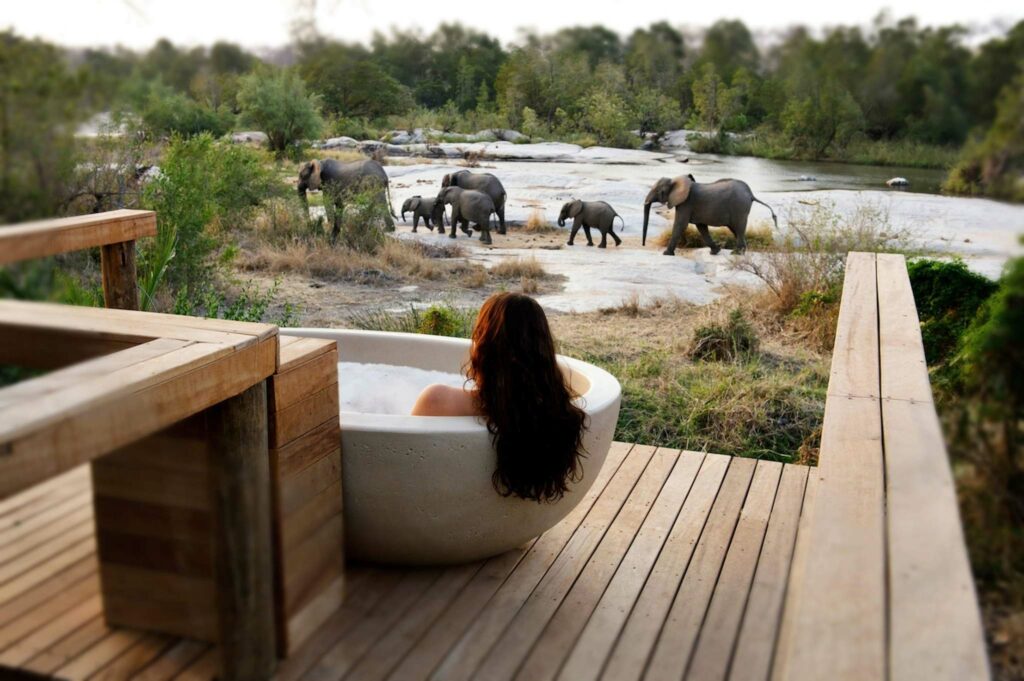 Londolozi Game Reserve, Afrique du Sud