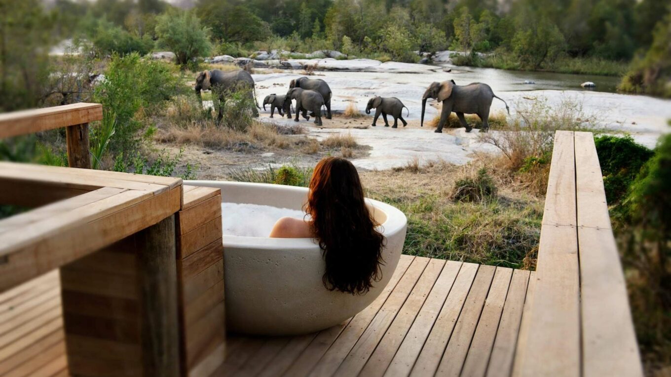 Londolozi Game Reserve, Afrique du Sud