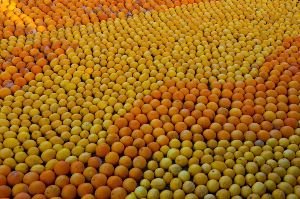 La Fête du citron de Menton