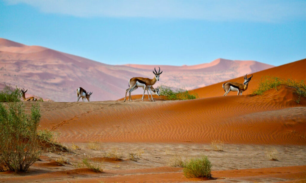 Namibie tourisme