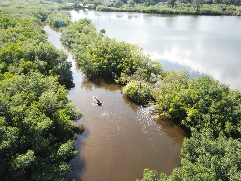 Partir en pays Cajun, Louisiane