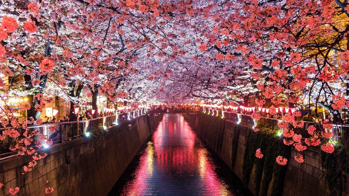 Quel est le meilleur moment pour partir au Japon ?