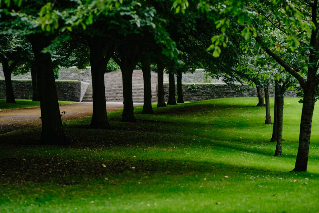 quartiers ou sejourner a dublin