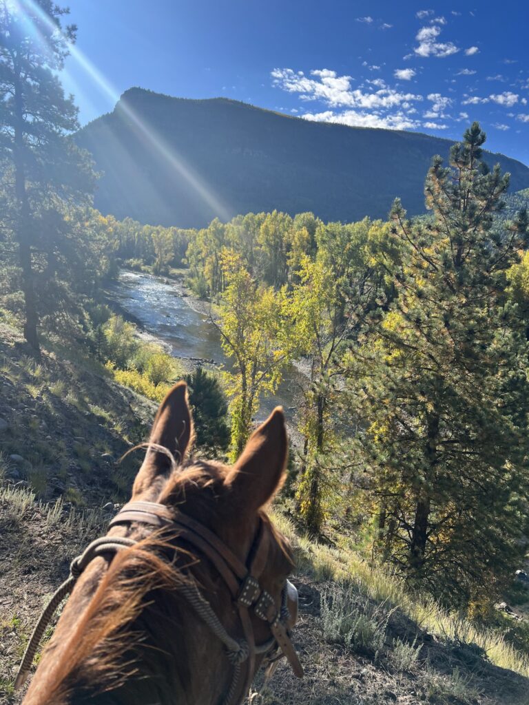 Rainbow Trout Ranch - Antonito, Colorado :