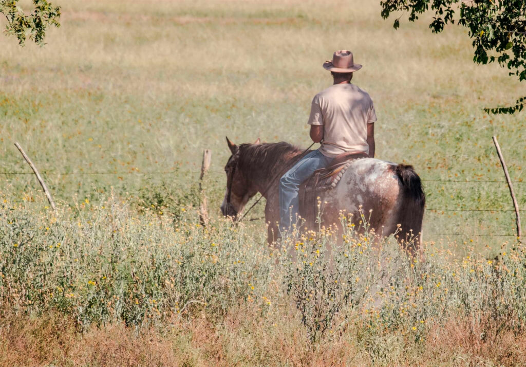 vacances au ranch au Texas