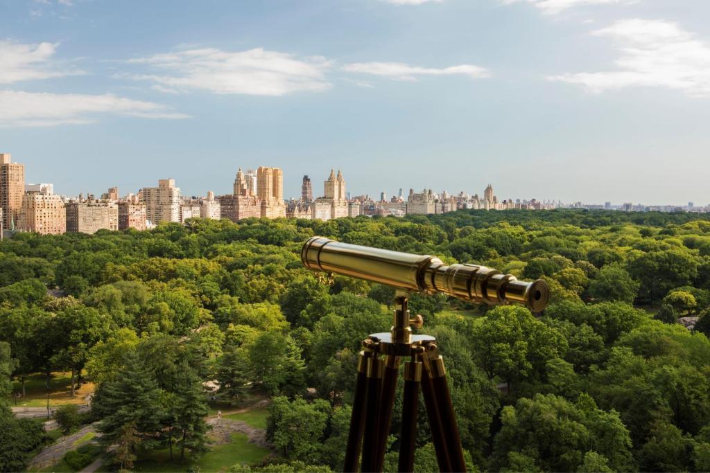 New York: Ce qui vous attend vraiment au Ritz-Carlton Central Park
