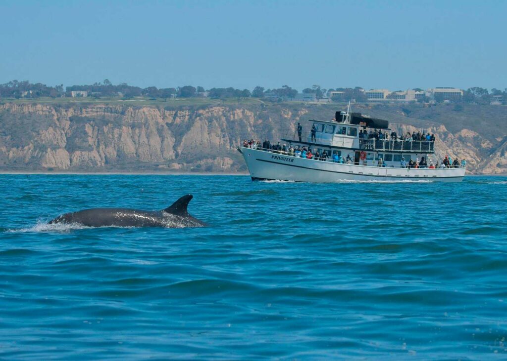 San Diego - notre guide pratique de voyage